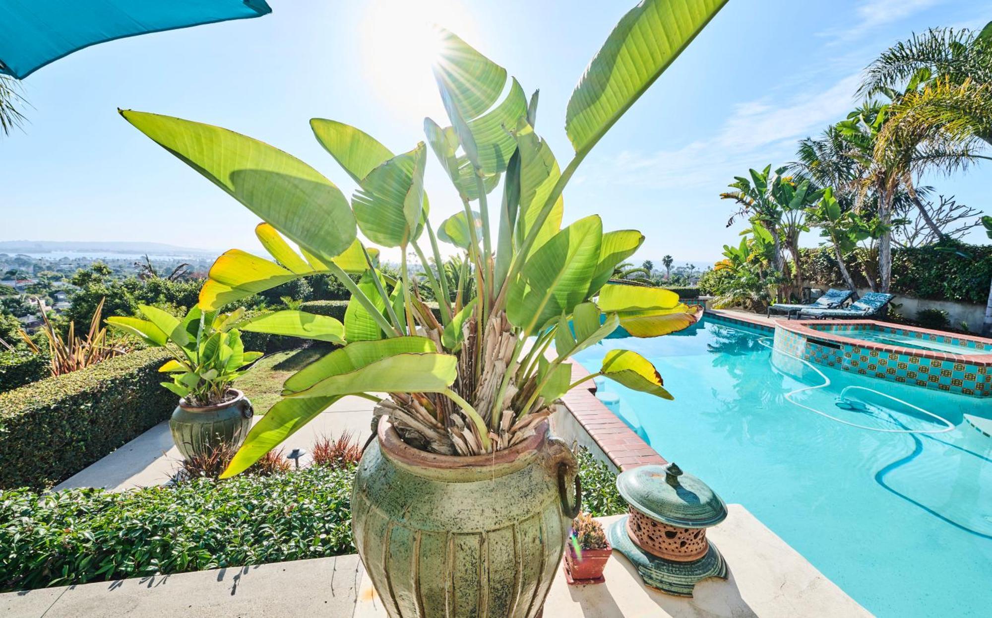 360 Degree Ocean & City Views With Pool, Spa, Close To The Beach! Pets Ok San Diego Exteriör bild